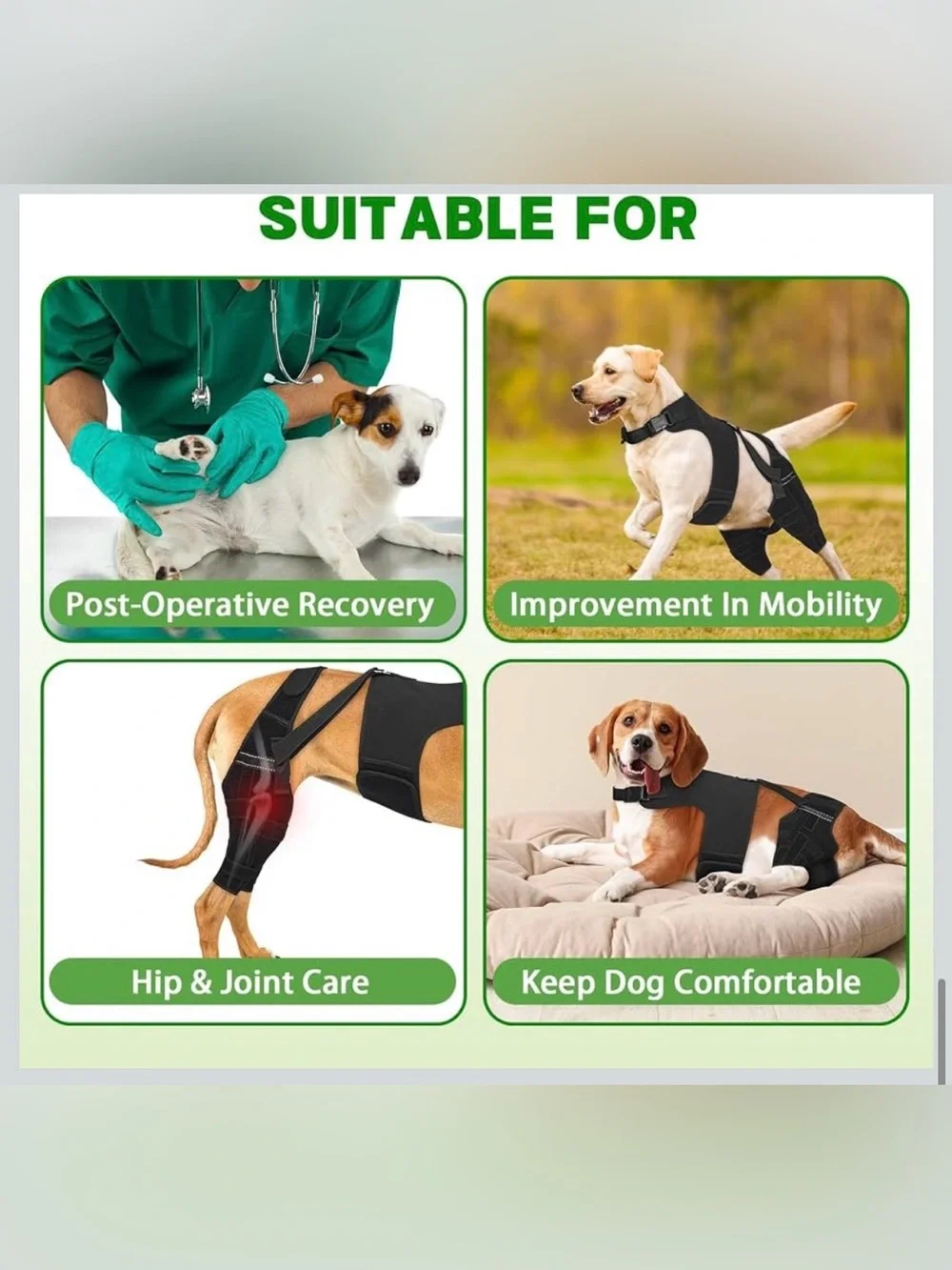 Dog Knee Braces for Back Leg Support,ACL/CCL Brace for Small Dogs,XS 2149-1